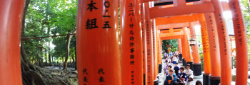 Torii Path Kyoto – REALTA’