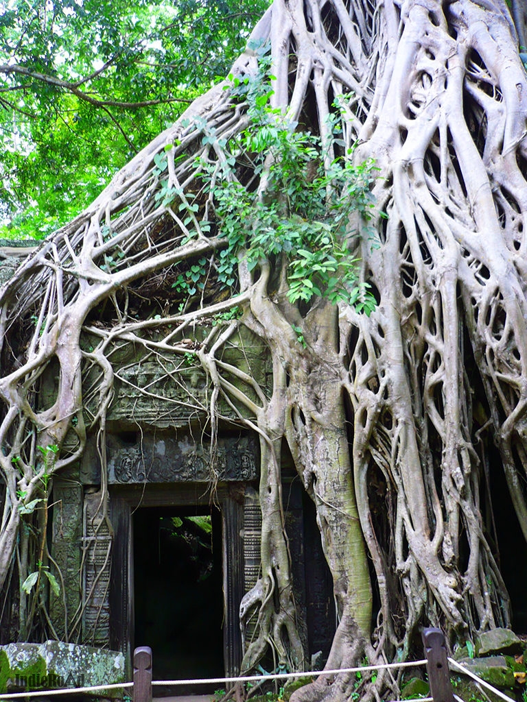 angkor thom cambogia