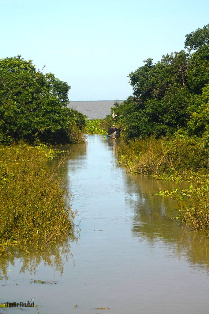 cambogia lago tonle sap villaggi galleggianti siem reap