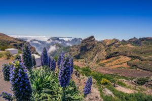 Pico do Areeiro Madeira Portogallo cosa vedere e fare