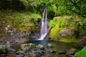 Walking Tour _Levad do Ribeiro Frio Madeira Portogallo cosa vedere e fare