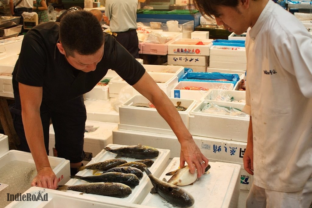 mercato_del_pesce_fish_market_tokyo_giappone_9