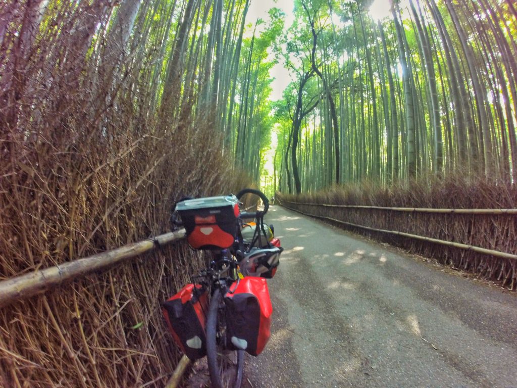 foresta di bambu kyoto giappone ARASHIYAMA