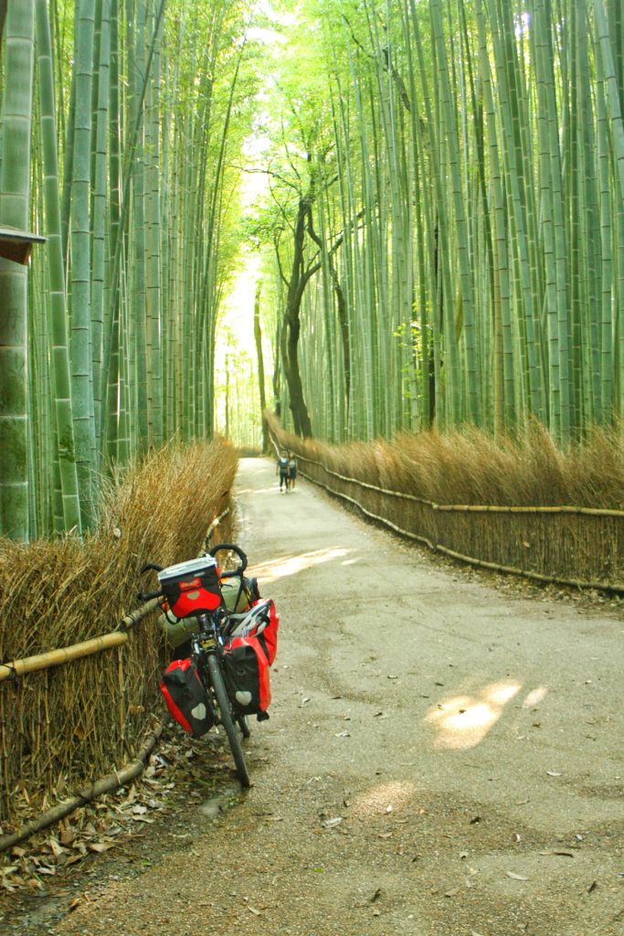 foresta di bambu kyoto giappone ARASHIYAMA