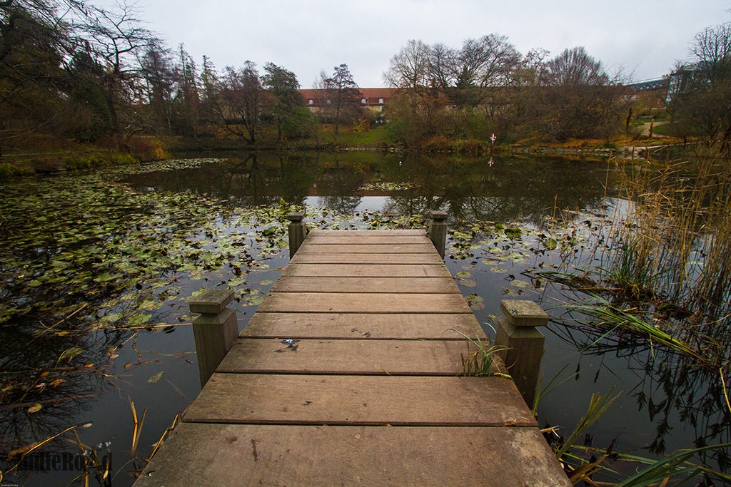 cosa-vedere-a-copenhagen-in-3-giorni-orto-botanico (7)